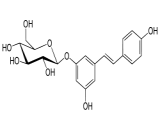 Polydatin (PD)