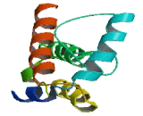 Polyisoprenoid Diphosphate Phosphatase Type 1 (PDP1)