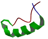 Polymerase DNA Directed Alpha 1 (POLa1)