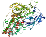 Polymerase DNA Directed Delta 1 (POLd)