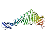 Polymerase DNA Directed Delta 3 (POLD3)