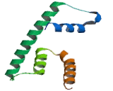 Polymerase DNA Directed Epsilon 3 (POLe3)