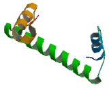 Polymerase DNA Directed Epsilon 4 (POLe4)