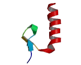 Polymerase DNA Directed Eta (POLh)