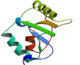 Polymerase DNA Directed Mu (POLm)