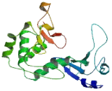 Polymerase DNA Directed Sigma (POLs)