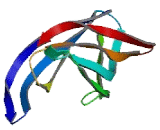 Polymerase Delta Interacting Protein 2 (POLdIP2)