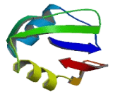 Polymerase Delta Interacting Protein 3 (POLdIP3)