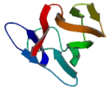 Polynucleotide Kinase-3-Phosphatase (PNKP)