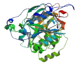 Polypeptide-N-Acetylgalactosaminyltransferase 14 (GALNT14)