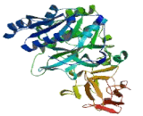 Polypeptide-N-Acetylgalactosaminyltransferase 6 (GALNT6)