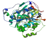 Polypeptide-N-Acetylgalactosaminyltransferase 8 (GALNT8)