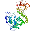 Polypeptide-N-Acetylgalactosaminyltransferase 16 (GALNT16)