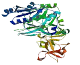 Polypeptide-N-Acetylgalactosaminyltransferase Like Protein 2 (GALNTL2)