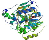 Polypeptide-N-Acetylgalactosaminyltransferase 18 (GALNT18)