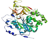 Polypeptide-N-Acetylgalactosaminyltransferase Like Protein 6 (GALNTL6)