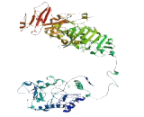 Pore Membrane Protein of 121kDa C (POM121C)