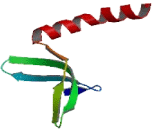 Positive Cofactor 4 (PC4)