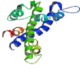 Post GPI Attachment To Proteins 3 (PGAP3)