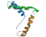 Postmeiotic Segregation Increased Protein 1 (PMS1)