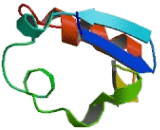 Potassium Channel Regulator (KCNRG)