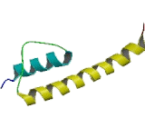 Potassium Channel Subfamily K, Member 1 (KCNK1)