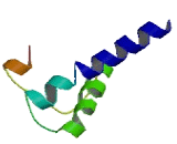 Potassium Channel Subfamily K, Member 16 (KCNK16)