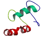 Potassium Channel Subfamily K, Member 17 (KCNK17)