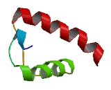 Potassium Channel Subfamily K, Member 18 (KCNK18)