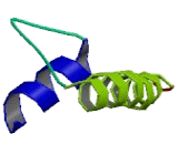 Potassium Channel Subfamily K, Member 2 (KCNK2)