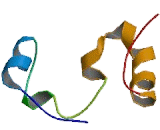 Potassium Channel Subfamily K, Member 3 (KCNK3)