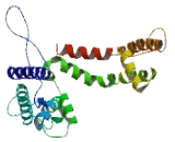 Potassium Channel Subfamily K, Member 4 (KCNK4)