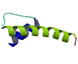 Potassium Channel Subfamily K, Member 9 (KCNK9)