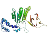 Potassium Channel Subfamily T, Member 1 (KCNT1)