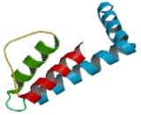 Potassium Channel Subfamily T, Member 2 (KCNT2)