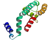 Potassium Channel Subfamily V, Member 2 (KCNV2)