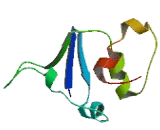 Potassium Channel Tetramerisation Domain Containing Protein 14 (KCTD14)