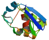 Potassium Channel Tetramerisation Domain Containing Protein 16 (KCTD16)