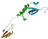 Potassium Channel Tetramerisation Domain Containing Protein 19 (KCTD19)