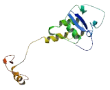 Potassium Channel Tetramerisation Domain Containing Protein 20 (KCTD20)