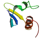 Potassium Channel Tetramerisation Domain Containing Protein 4 (KCTD4)