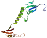 Potassium Channel Tetramerisation Domain Containing Protein 5 (KCTD5)