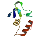 Potassium Channel Tetramerisation Domain Containing Protein 6 (KCTD6)