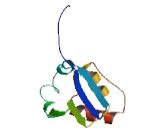 Potassium Channel Tetramerisation Domain Containing Protein 7 (KCTD7)