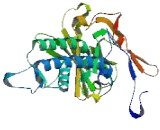 Potassium Inwardly Rectifying Channel Subfamily J, Member 13 (KCNJ13)