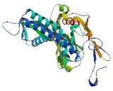 Potassium Inwardly Rectifying Channel Subfamily J, Member 18 (KCNJ18)