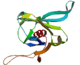 Potassium Inwardly Rectifying Channel Subfamily J, Member 6 (KCNJ6)