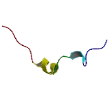 Potassium Large Conductance Calcium Activated Channel Subfamily M Beta 3 (KCNMb3)