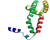 Potassium Voltage Gated Channel, Delayed Rectifier Subfamily S, Member 1 (KCNS1)