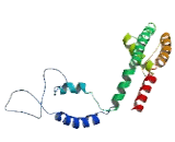 Potassium Voltage Gated Channel, Delayed Rectifier Subfamily S, Member 2 (KCNS2)